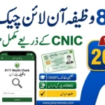 8171 Wazifa Check Online by CNIC