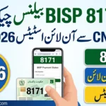 BISP Check Balance Online by CNIC 2026