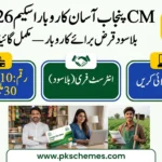 CM Punjab Asaan Karobar Scheme 2026