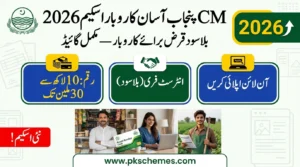 CM Punjab Asaan Karobar Scheme 2026